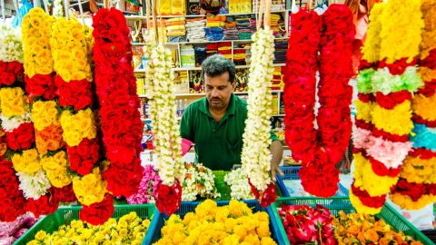 Singapore: Private City Tour in Chinatown & Little India Guided Tour