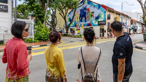 Singapore: Peranakan Culture & Heritage Walking Guided Tour