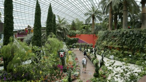 Singapore: Gardens by the Bay Entry Ticket and Hotel Pick up