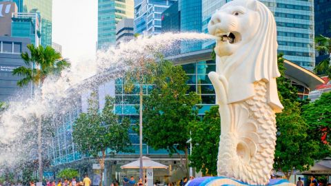 Singapore: City and Temples Tour with Gardens by the Bay Ticket