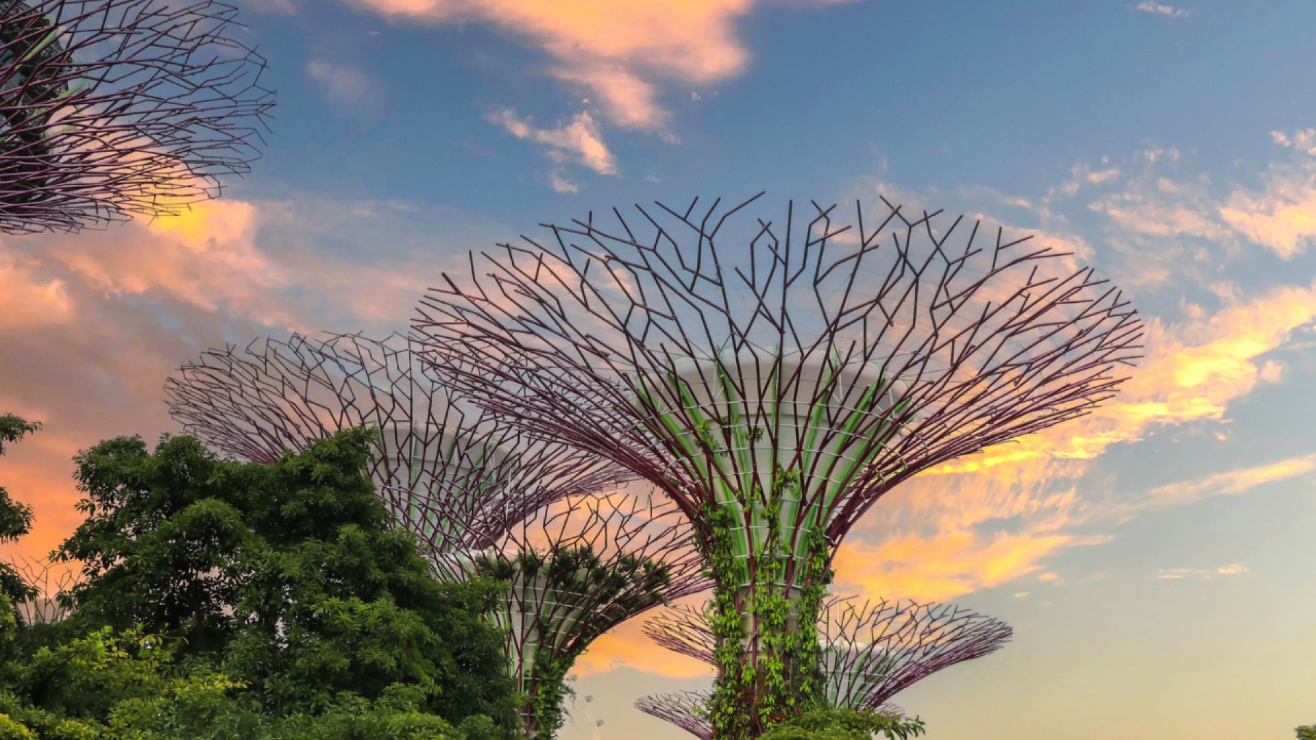 Singapore: City and Temples Tour with Gardens by the Bay Ticket