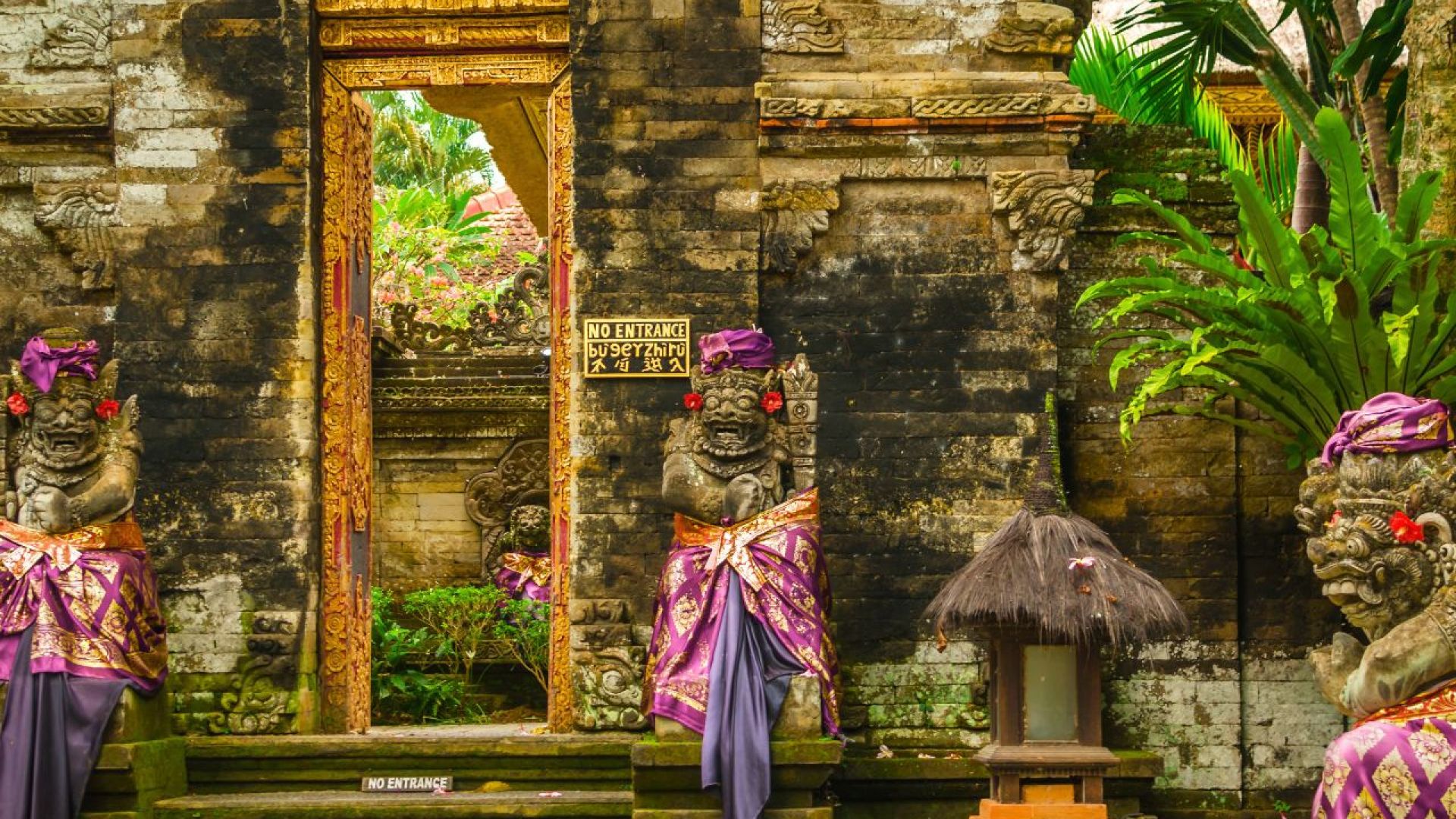 Ubud: Monkey Forest, Rice Terraces & Sacred Temples