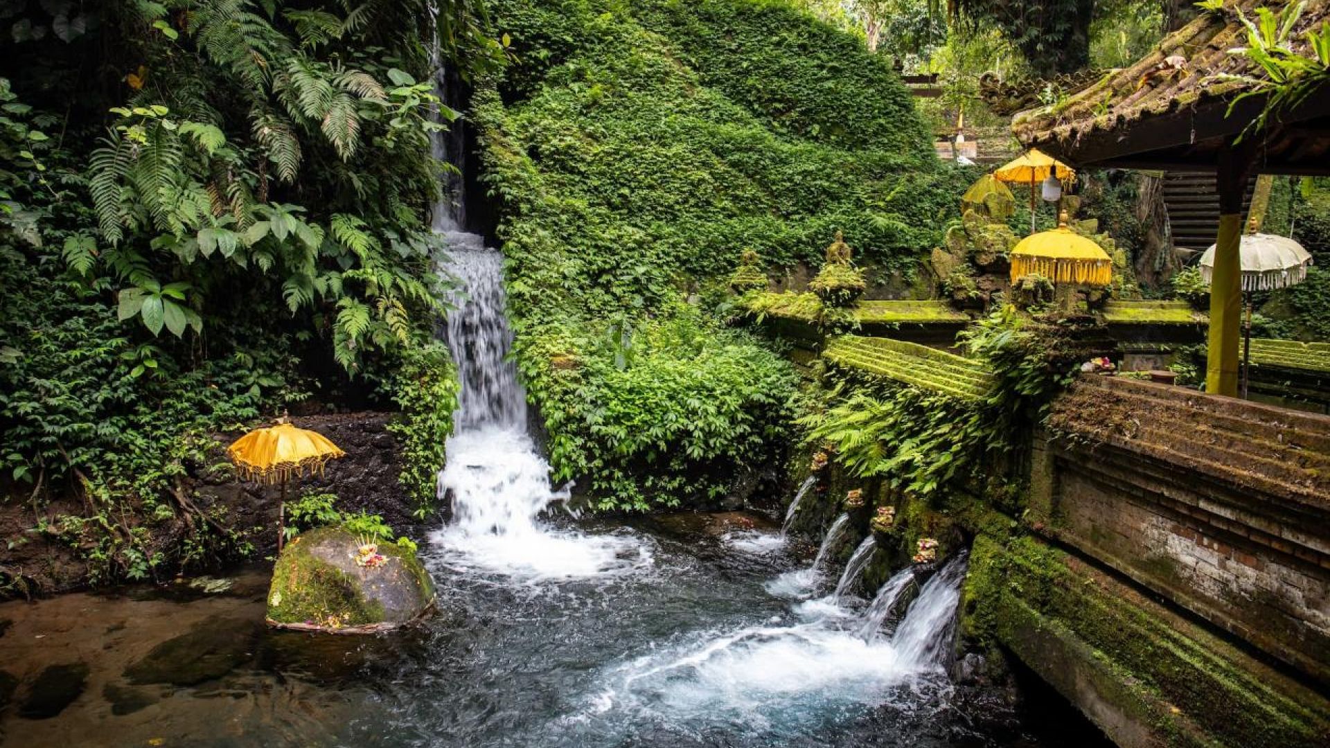 Ubud: Monkey Forest, Rice Terraces & Sacred Temples