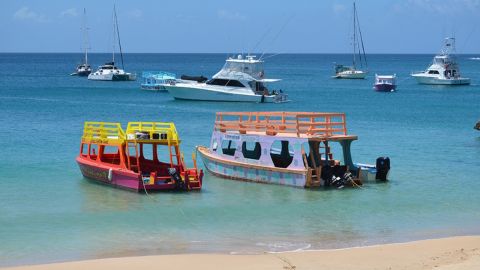 Tobago Buccoo Reef Glass Bottom Boat Cruise and Island Sightseeing Tour