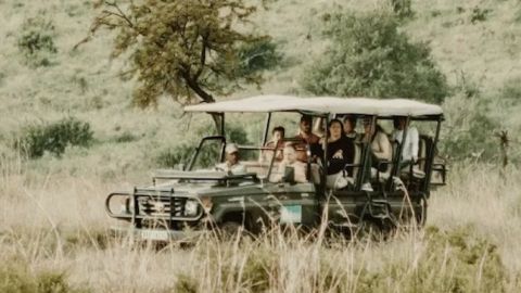 VIP Safari Tour