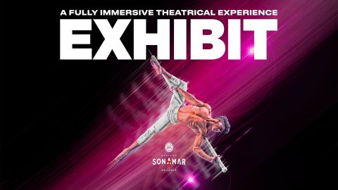 House of Son Amar: Exhibit - VIP + Transfer