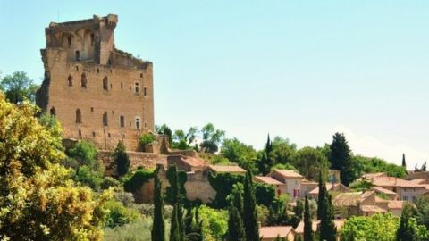 A MORNING IN CHÂTEAUNEUF-DU-PAPE