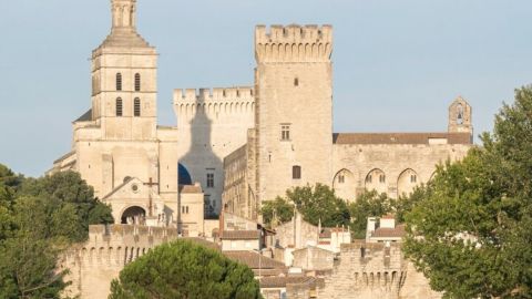 AVIGNON and Luberon EXPERIENCE