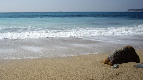 BANDOL & CASSIS WINE TOUR