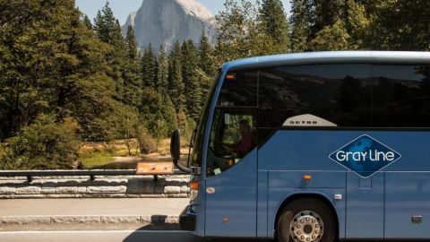 Yosemite National Park Full Day Tour One Way Go