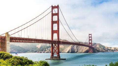 SAN FRANCISCO GRAND CITY TOUR + MUIR WOODS AND Sausalito