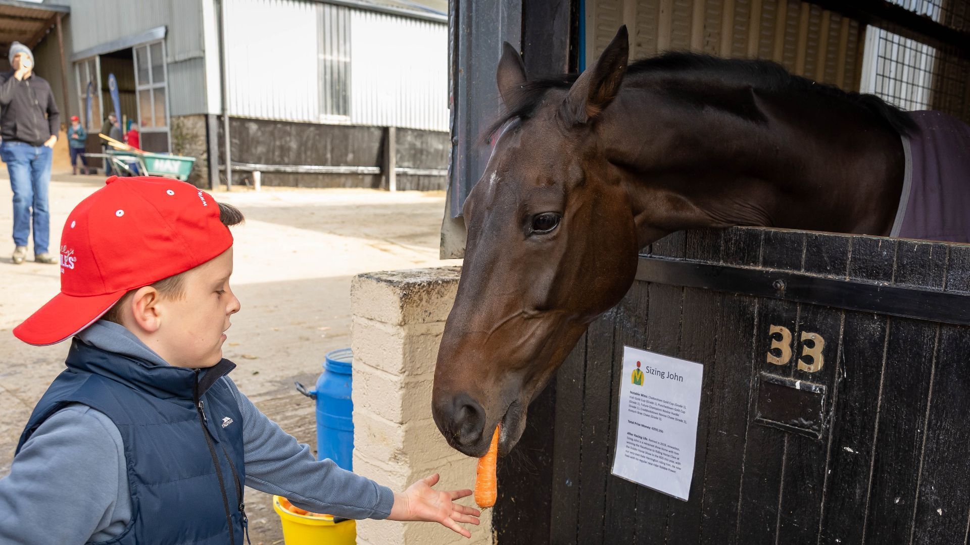 Gift the Experience: Behind-The-Scenes with Jessica Harrington