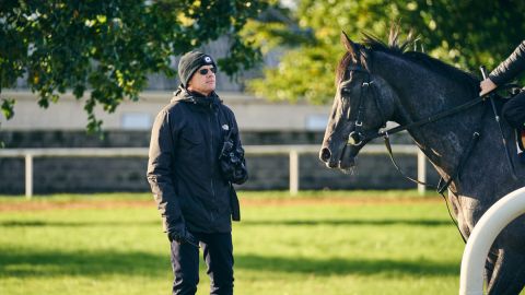 Behind the Scenes at Ballydoyle
