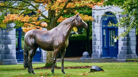 Gift the Experience: Tipperary Tales & Tastes