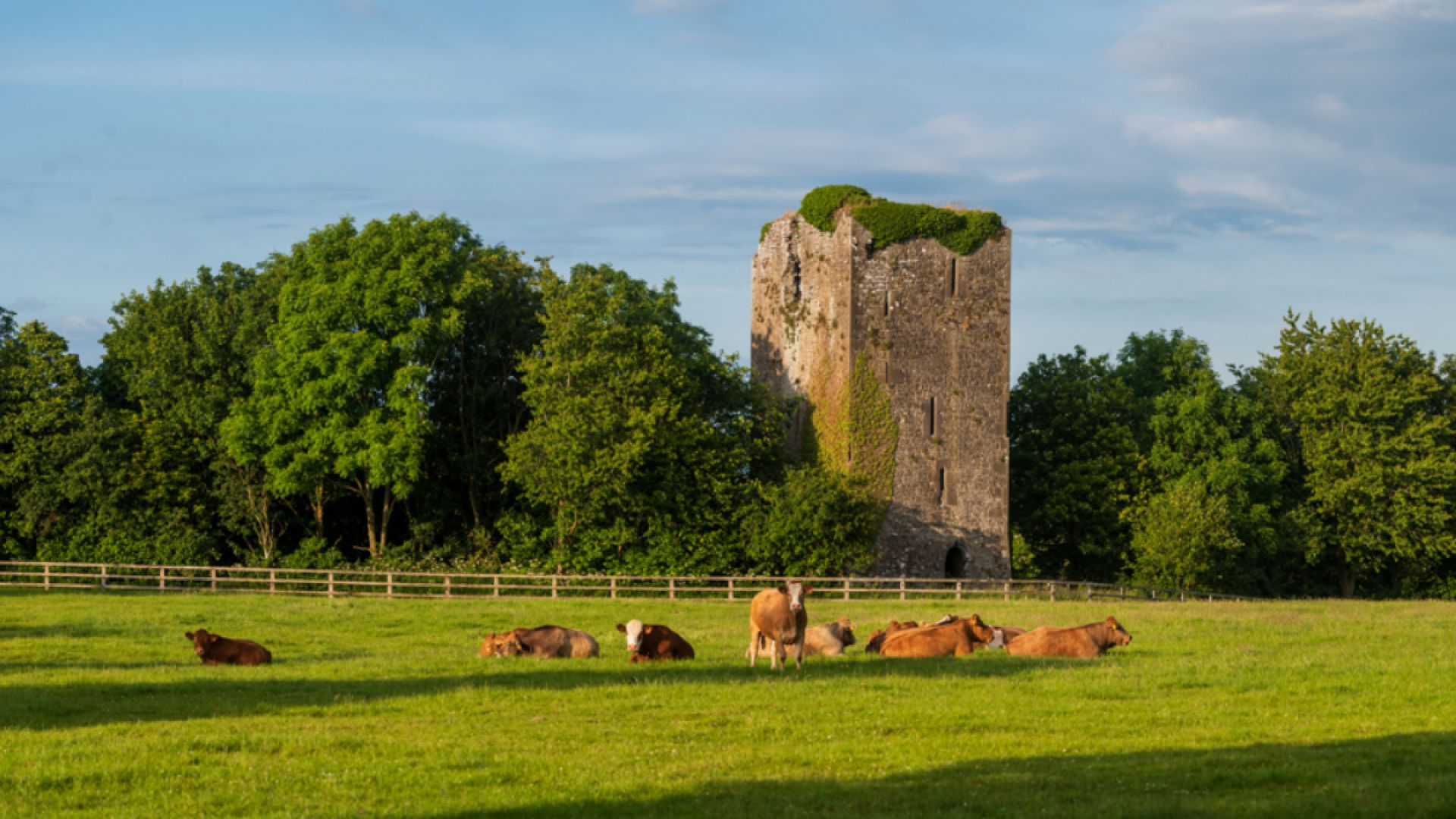 Tipperary Tales & Tastes