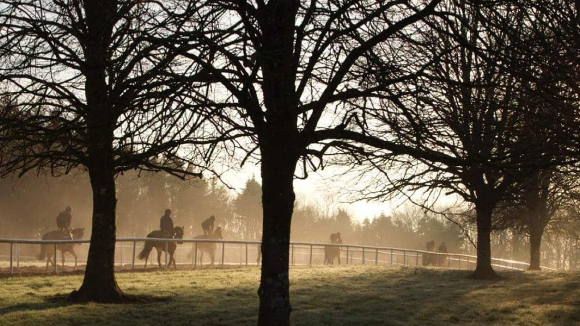 Gift the Experience: Scones & Saddles