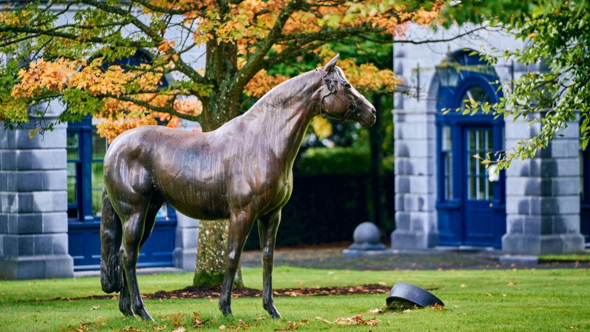 Gift the Experience: Tipperary Tales & Tastes