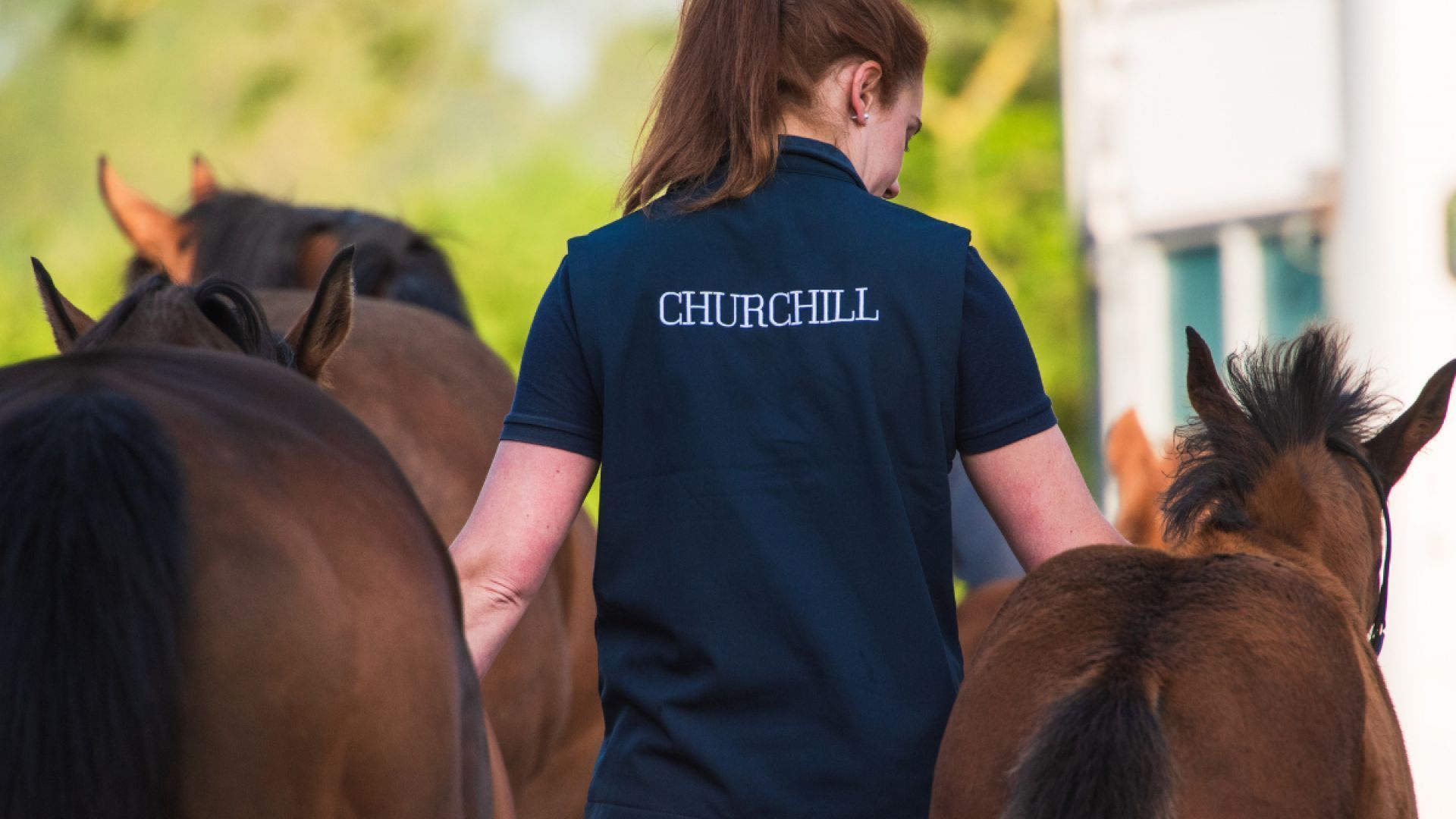 Gift the Experience: Tipperary Tales & Tastes