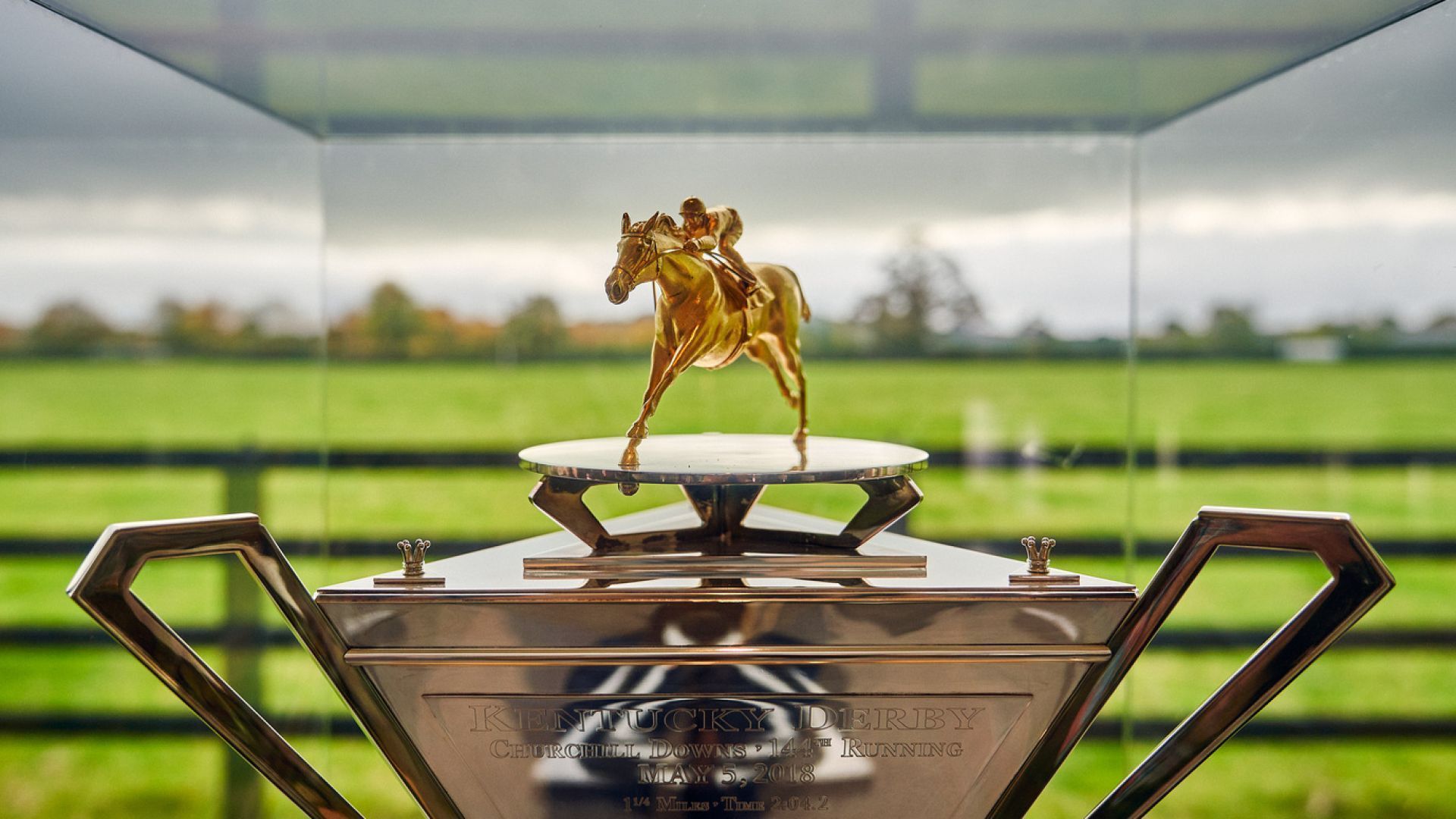 Gift the Experience: Behind the Scenes at Ballydoyle