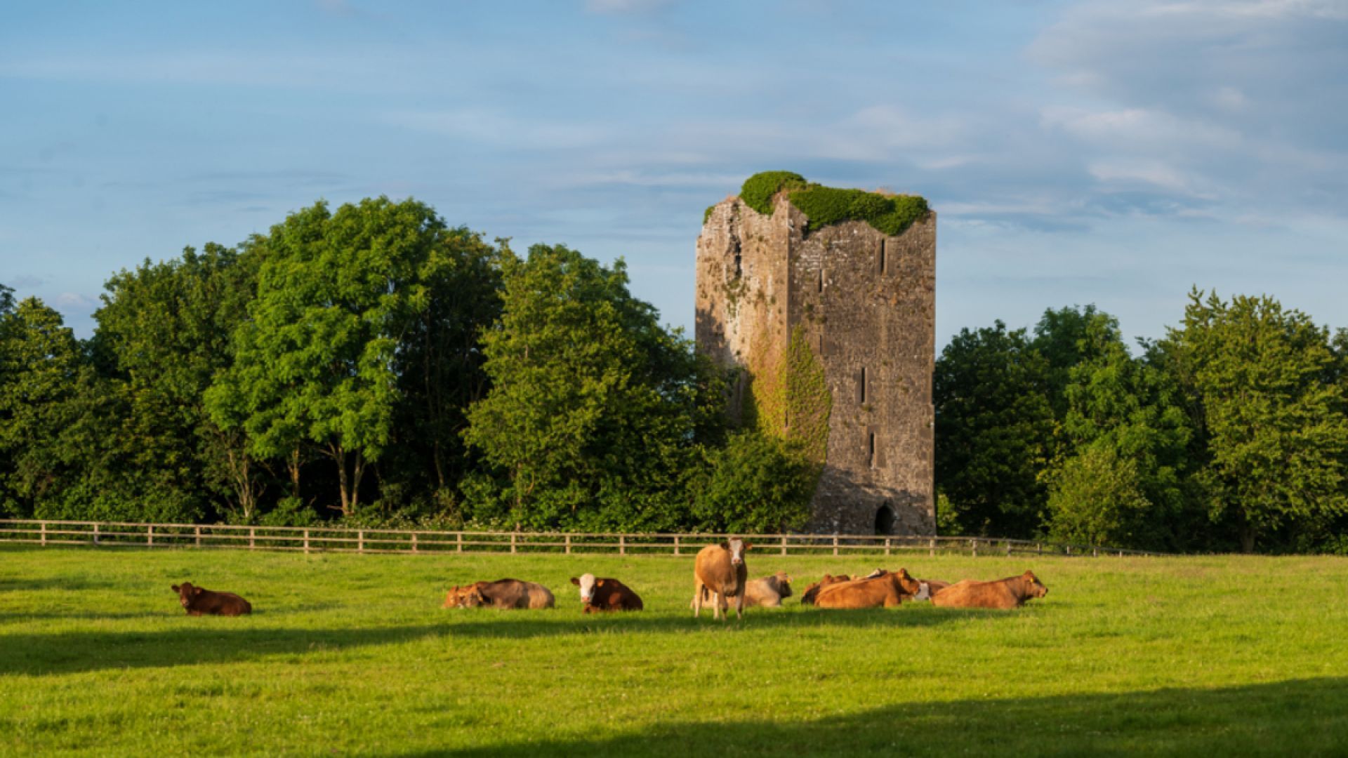 Gift the Experience: Tipperary Tales & Tastes