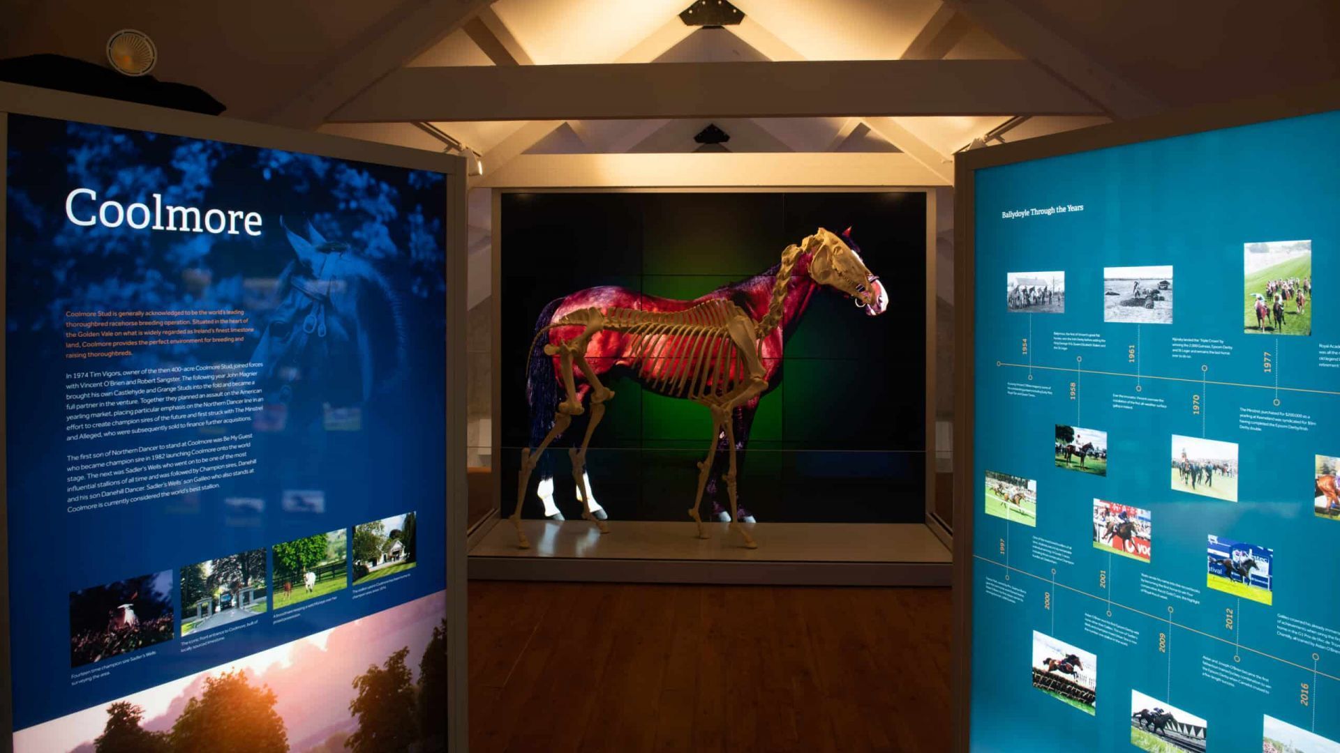 Gift the Experience:  Fethard Horse Country Experience