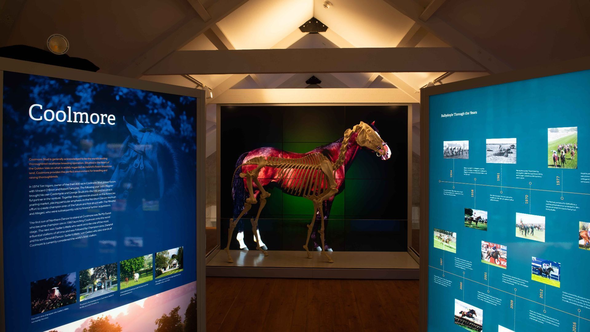 Gift the Experience: Behind the Scenes at Ballydoyle