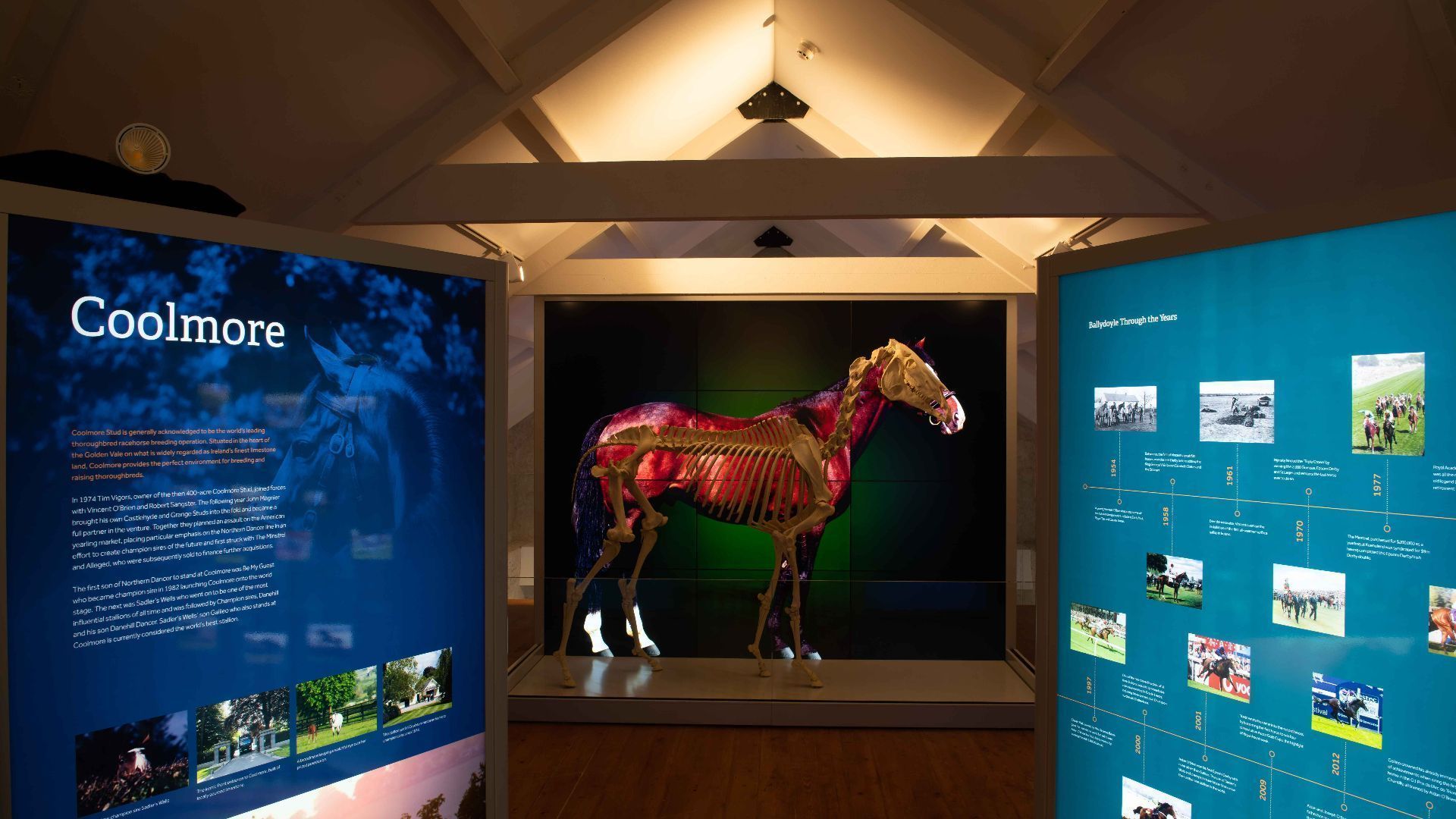 Gift the Experience: Castles, Colts & Culture