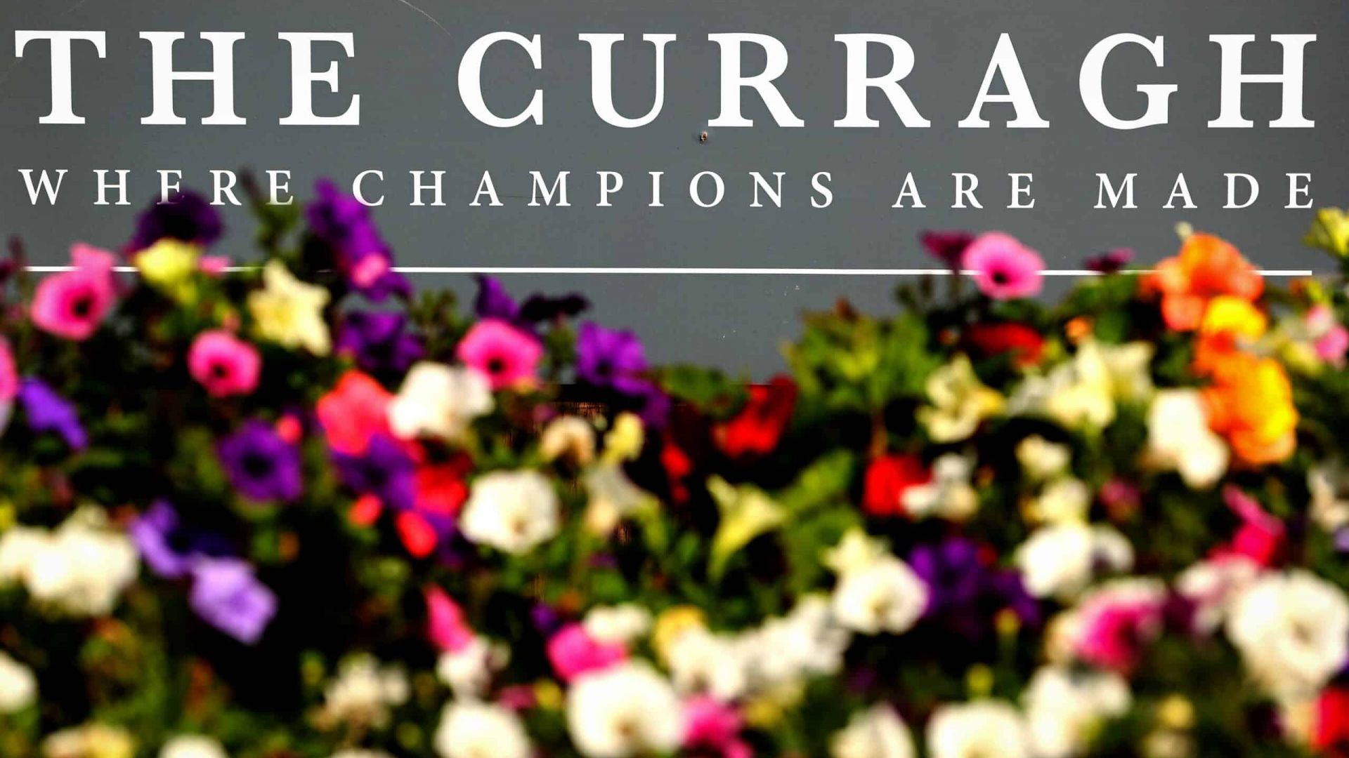 Breakfast & Behind-the-Scenes: ‘The Curragh Racecourse Experience’