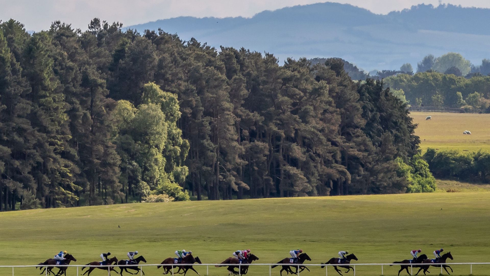 Breakfast & Behind-the-Scenes: ‘The Curragh Racecourse Experience’