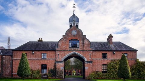 Gift the Experience: Kildangan Stud - Foal to Fame Tour