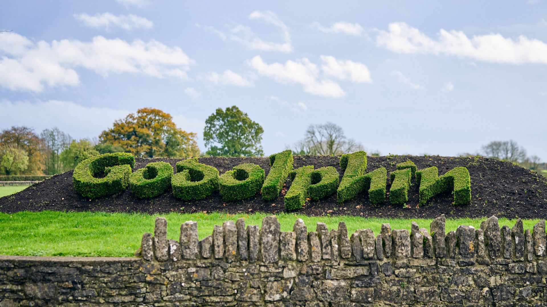 Kildangan Stud - Foal To Fame Tour