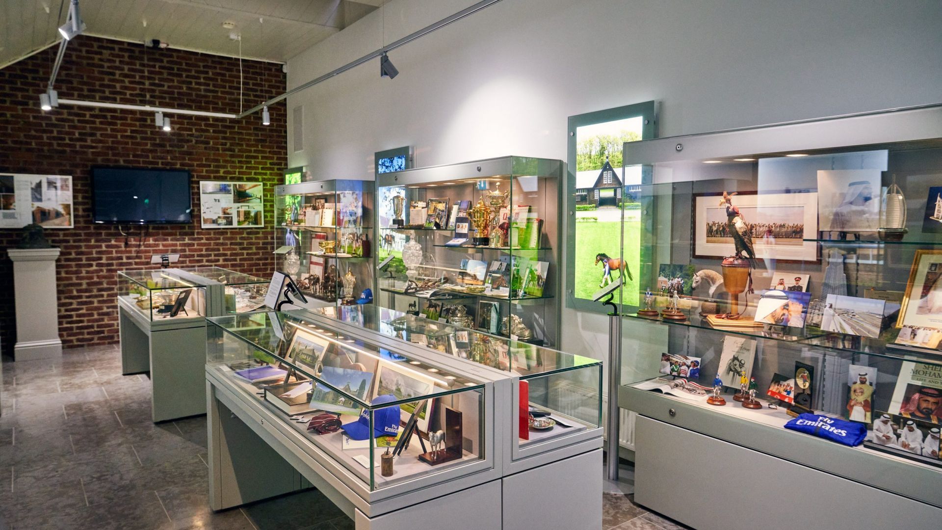 Gift the Experience: Kildangan Stud - Foal to Fame Tour