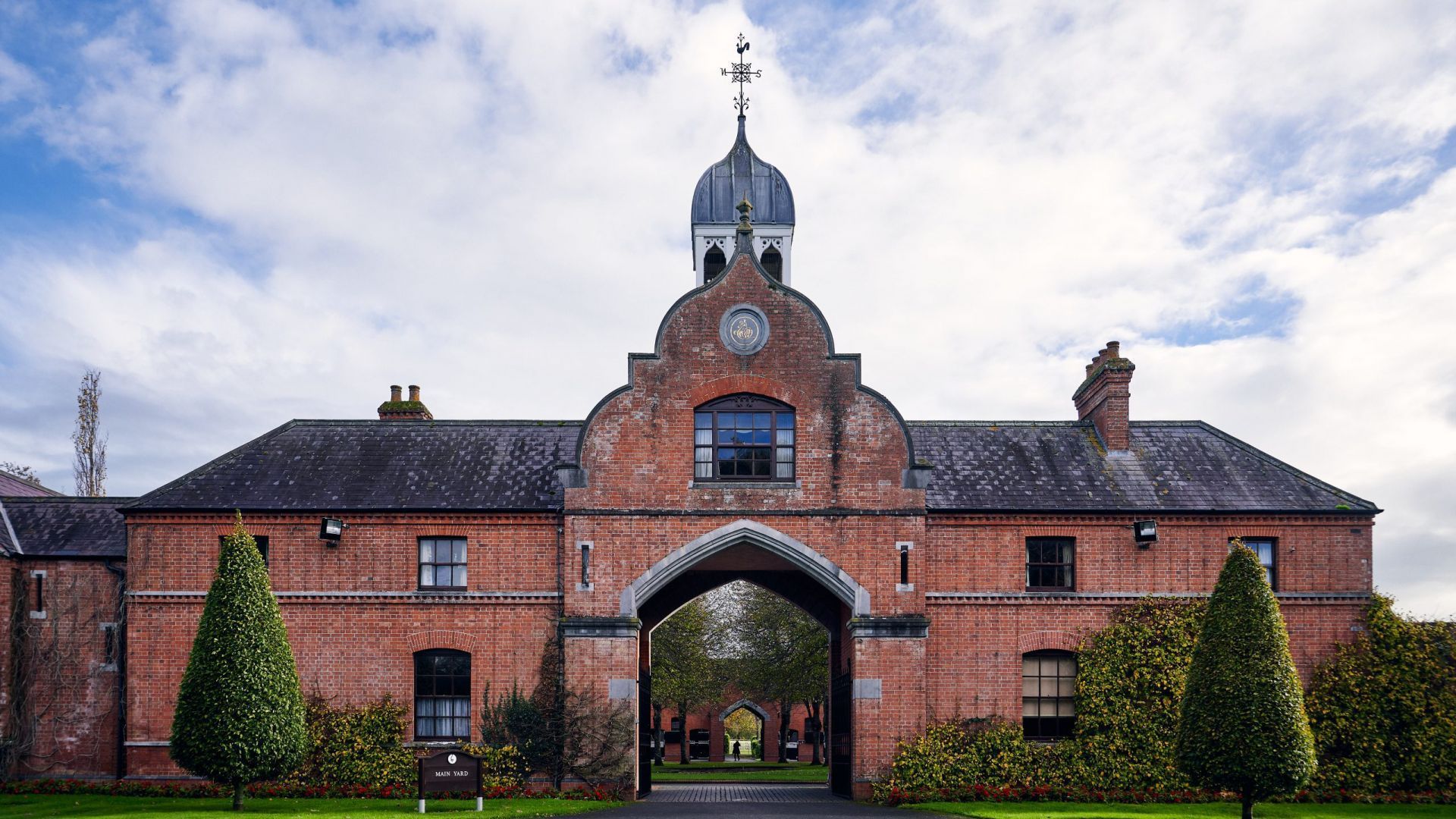 Gift the Experience: Kildangan Stud - Foal to Fame Tour