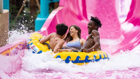 Adventure Island Tampa Bay Admission (Single Day Ticket)