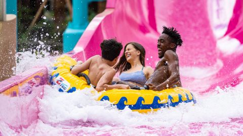 Adventure Island Tampa Bay Admission (Single Day Ticket)