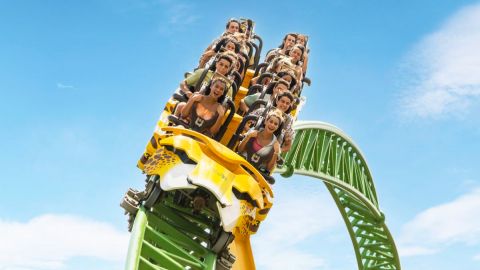 Busch Gardens Tampa (Single Day Ticket)