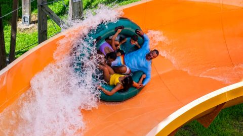 Adventure Island Tampa Bay Admission (Single Day Ticket)