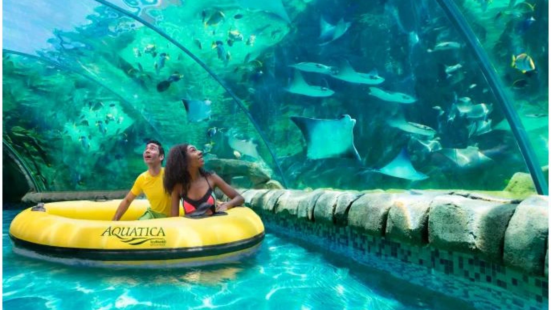 Aquatica San Antonio Admission (Single Day Ticket)