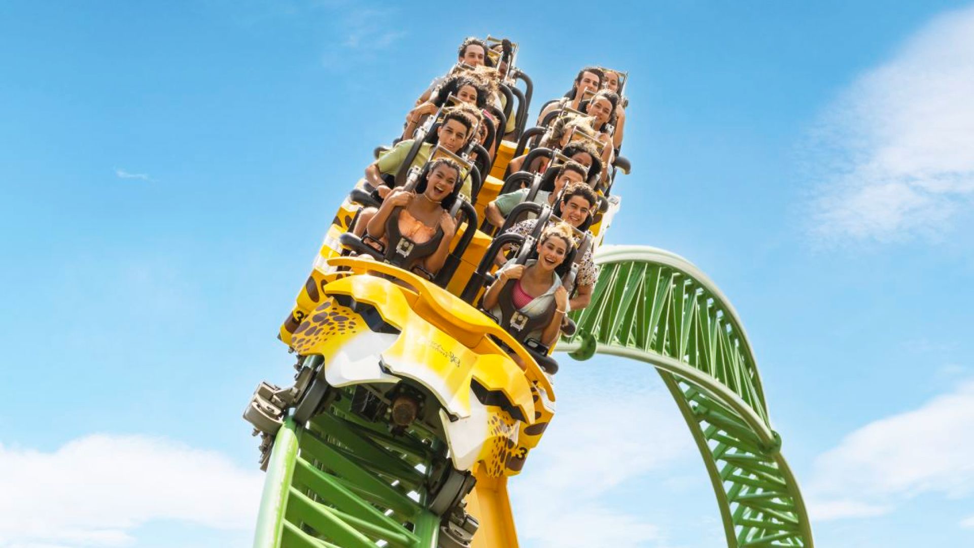 Busch Gardens Tampa (Single Day Ticket)