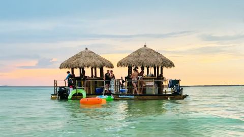 3 Hour Bird Island Trip with Cruisin' Tikis