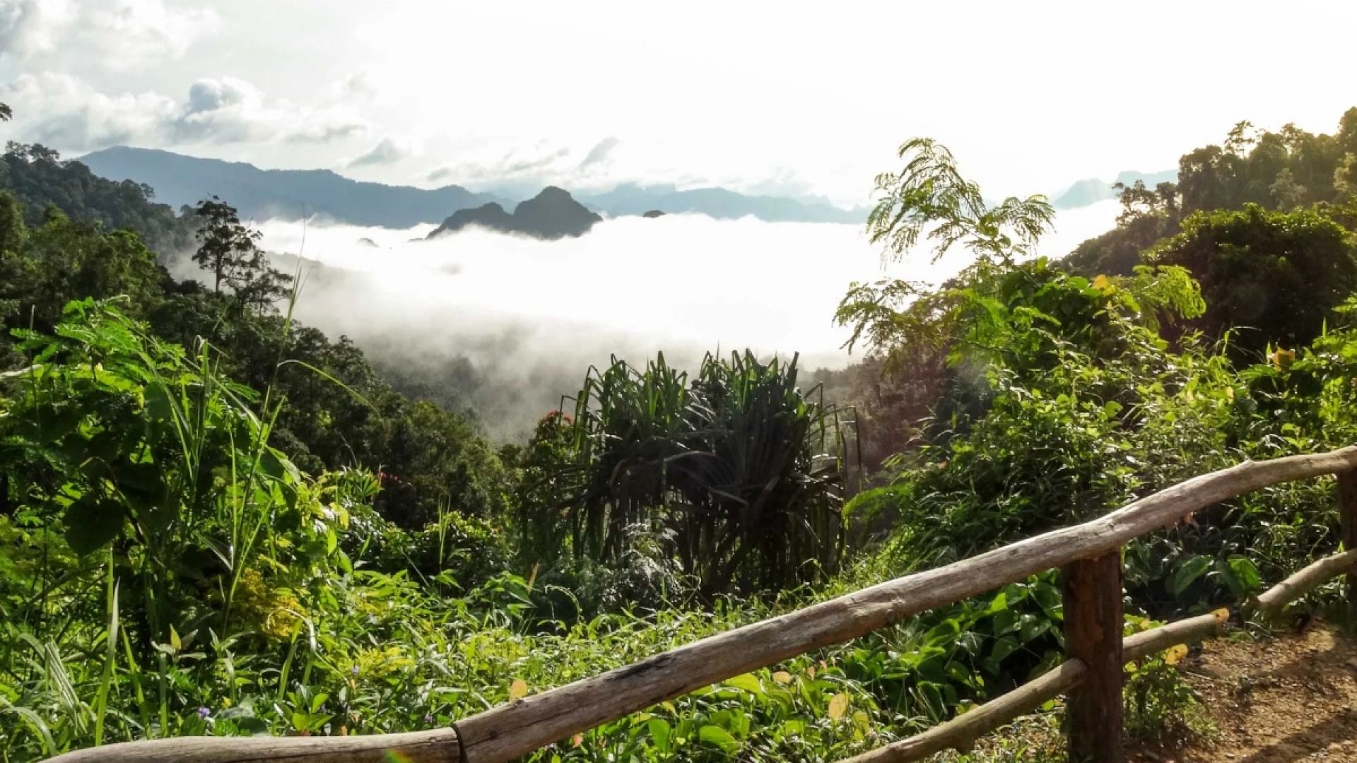 Khao Sok day Trip –Full day tour with lunch