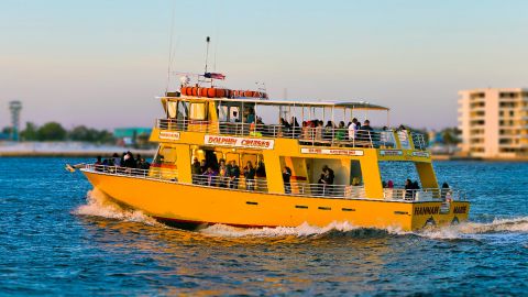 Dolphin Watch and Destin History Cruise