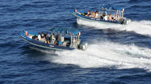 3 Hour Molokini Plus Snorkel Trip