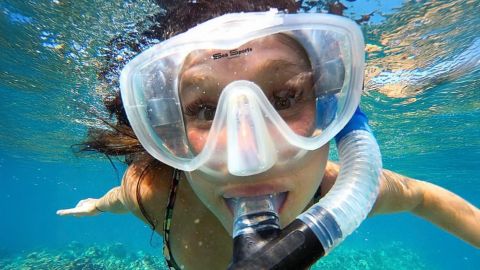 2 Hour Molokini Express Snorkel Trip