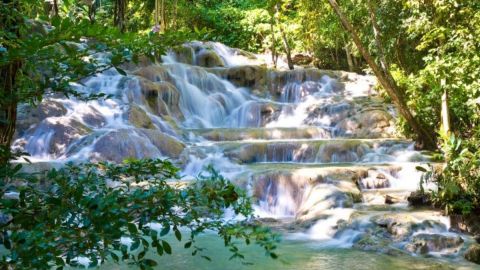 Bob Marley 9 Mile & Dunns River - Runaway Bay & Ocho Rios