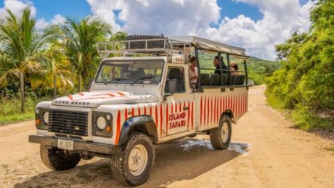 Island Safari Historical Tour