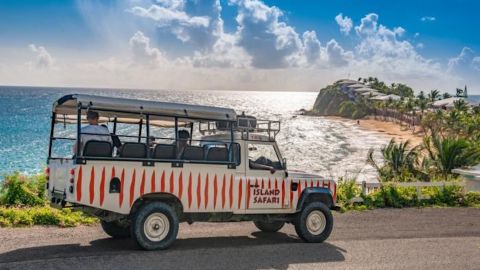 Island Safari Discovery