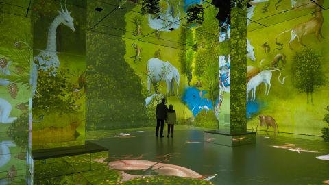 Frameless - Immersive Art Experience