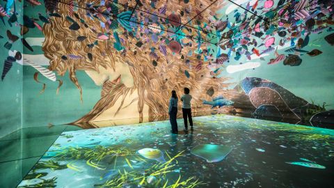 Frameless - Immersive Art Experience