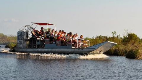 Large Airboat Tour